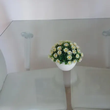 アパート Eleganz House ポルティマン